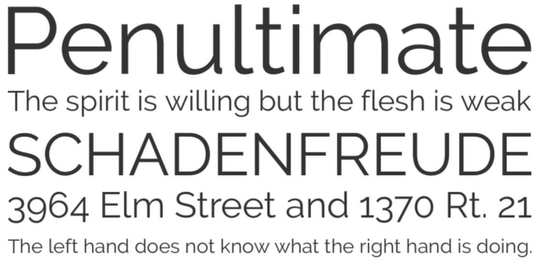 raleway webfont