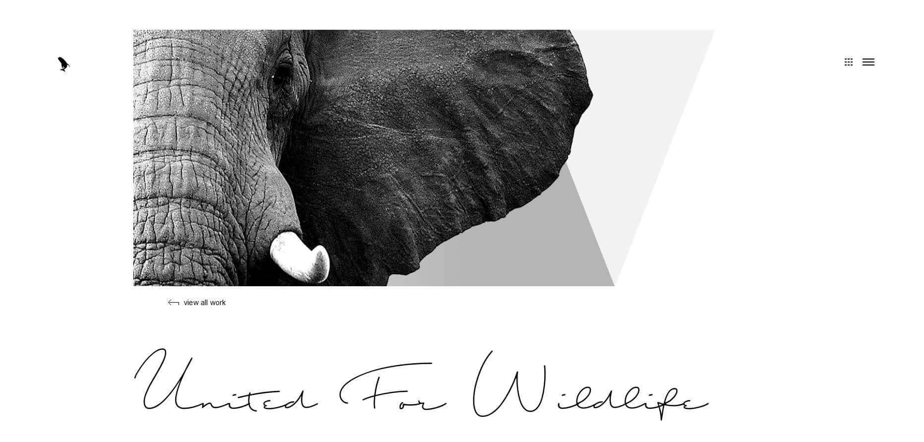 visionary geometric web design